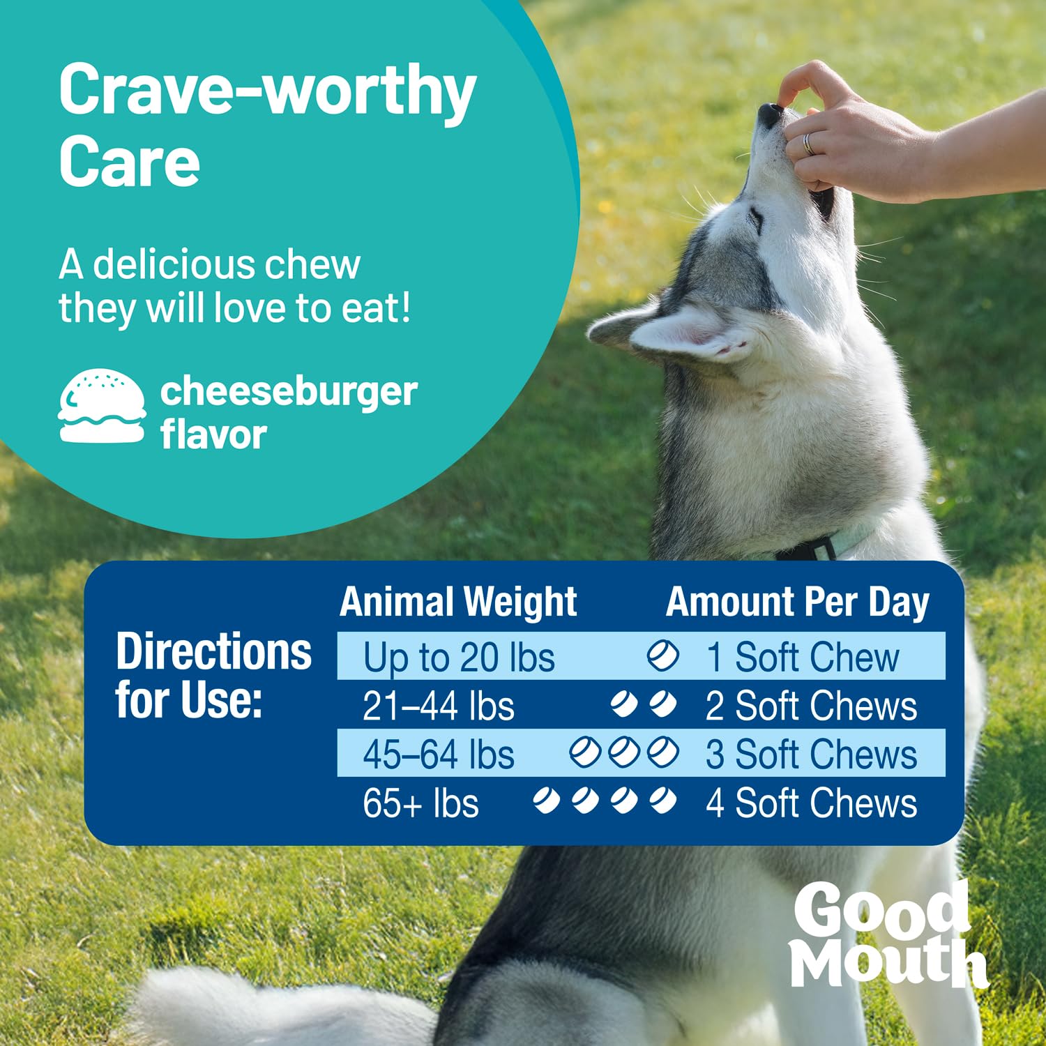 Pet HealthWorks Good Mouth production using cold extrusion preserves probiotics