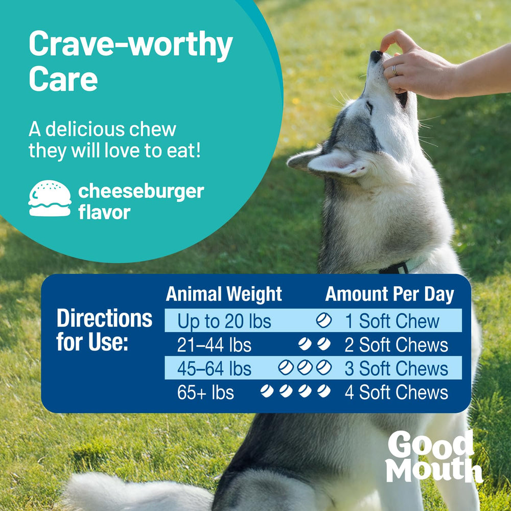 Pet HealthWorks Good Mouth production using cold extrusion preserves probiotics