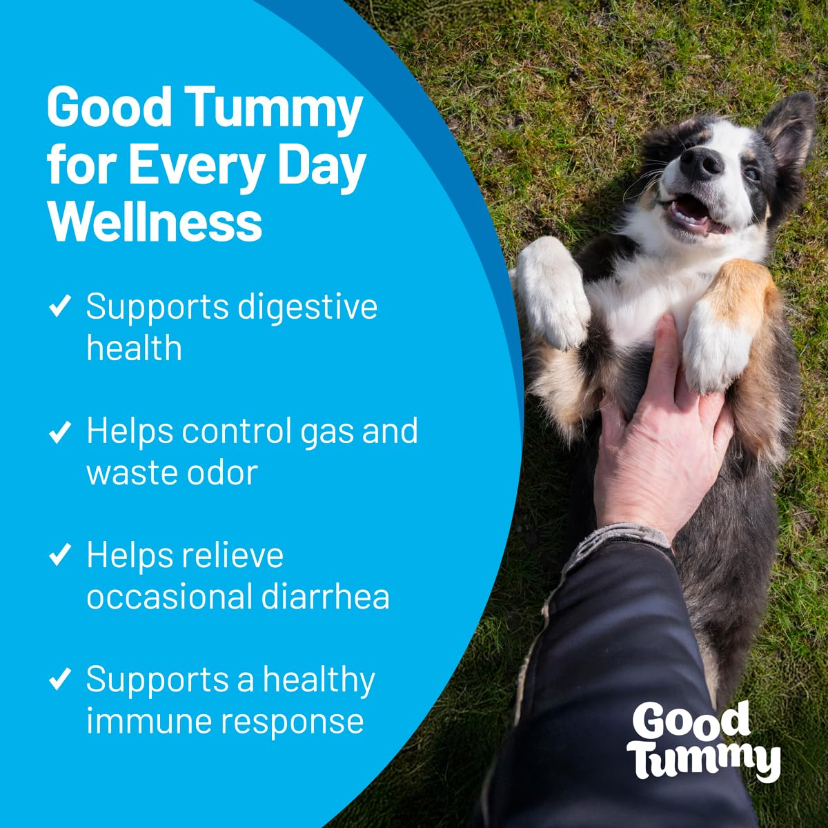 Pet HealthWorks Good Tummy chews in container for easy digestion support