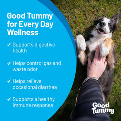 Pet HealthWorks Good Tummy chews in container for easy digestion support