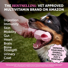 Pet Honesty 10-in-1 bottle closeup highlights glucosamine for joints
