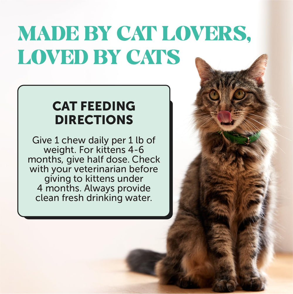 Pet Honesty 90-day supply label on packaging for cat treats.