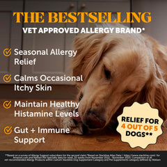 Pet Honesty soft chews close-up highlights the salmon flavor dogs love.