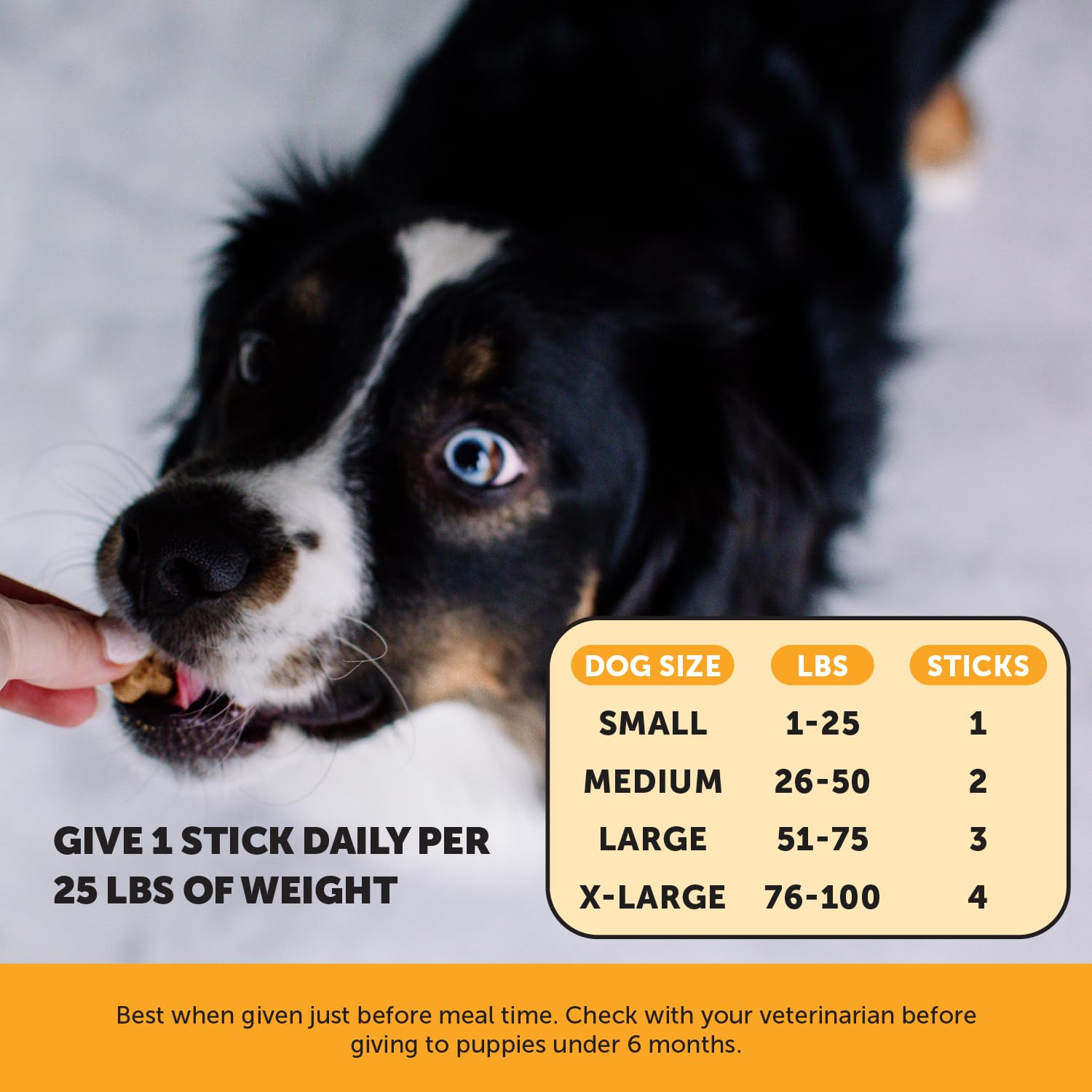 Pet Honesty Allergy Support Fresh Dental Sticks ingredients-quercetin spotlight natural allergy-friendly ingredients.