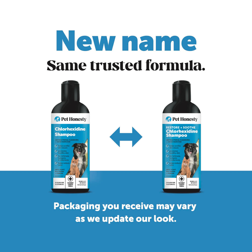 Pet Honesty aloe-enhanced shampoo close-up highlights soothing ingredients.