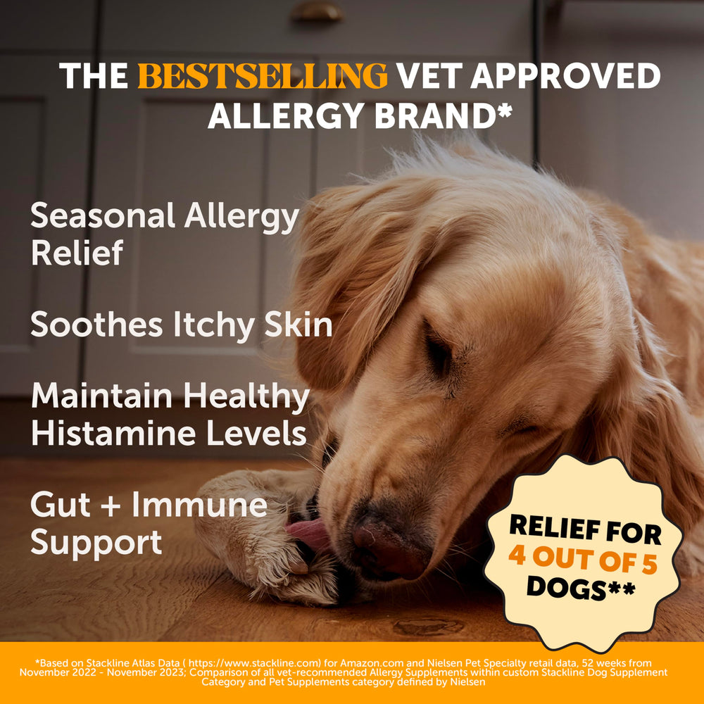 Pet Honesty anti-itch chews in a bowl illustrate tasty itch relief