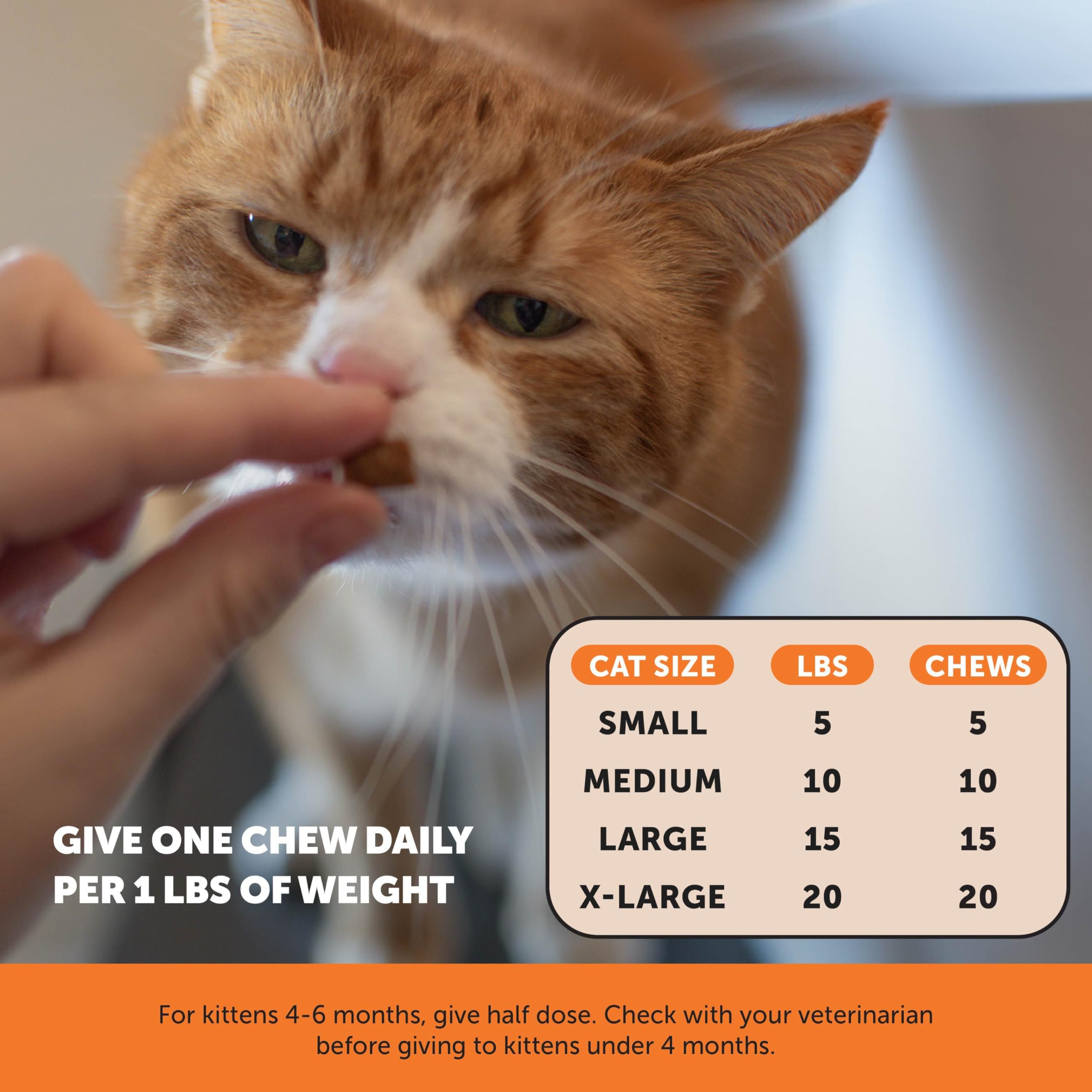 Pet Honesty antioxidants immune and joint support graphic.