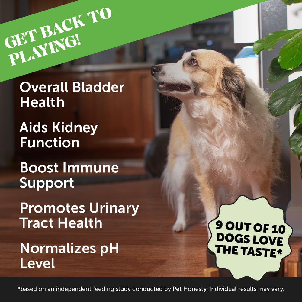 Pet Honesty Bladder Health Cranberry chews close-up with bite-sized treats and flavor