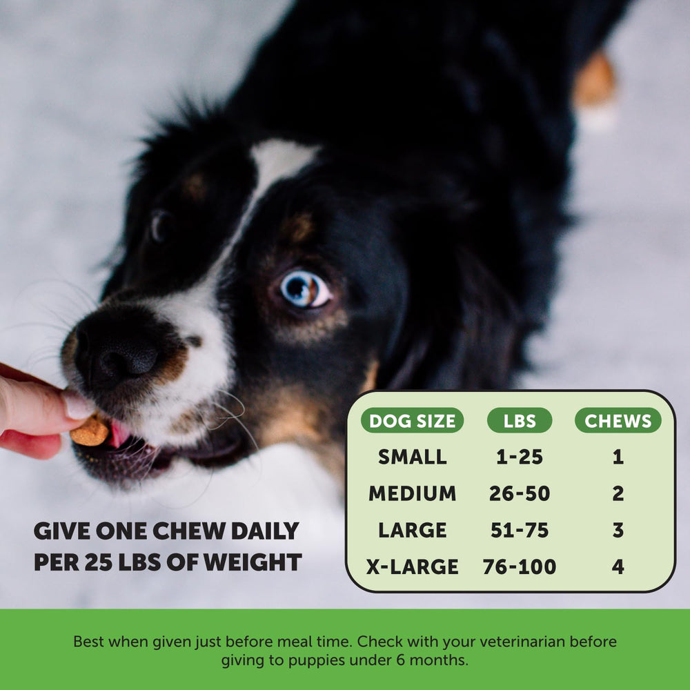 Pet Honesty Bladder Health Cranberry chews beside dog bowl for routine dosing