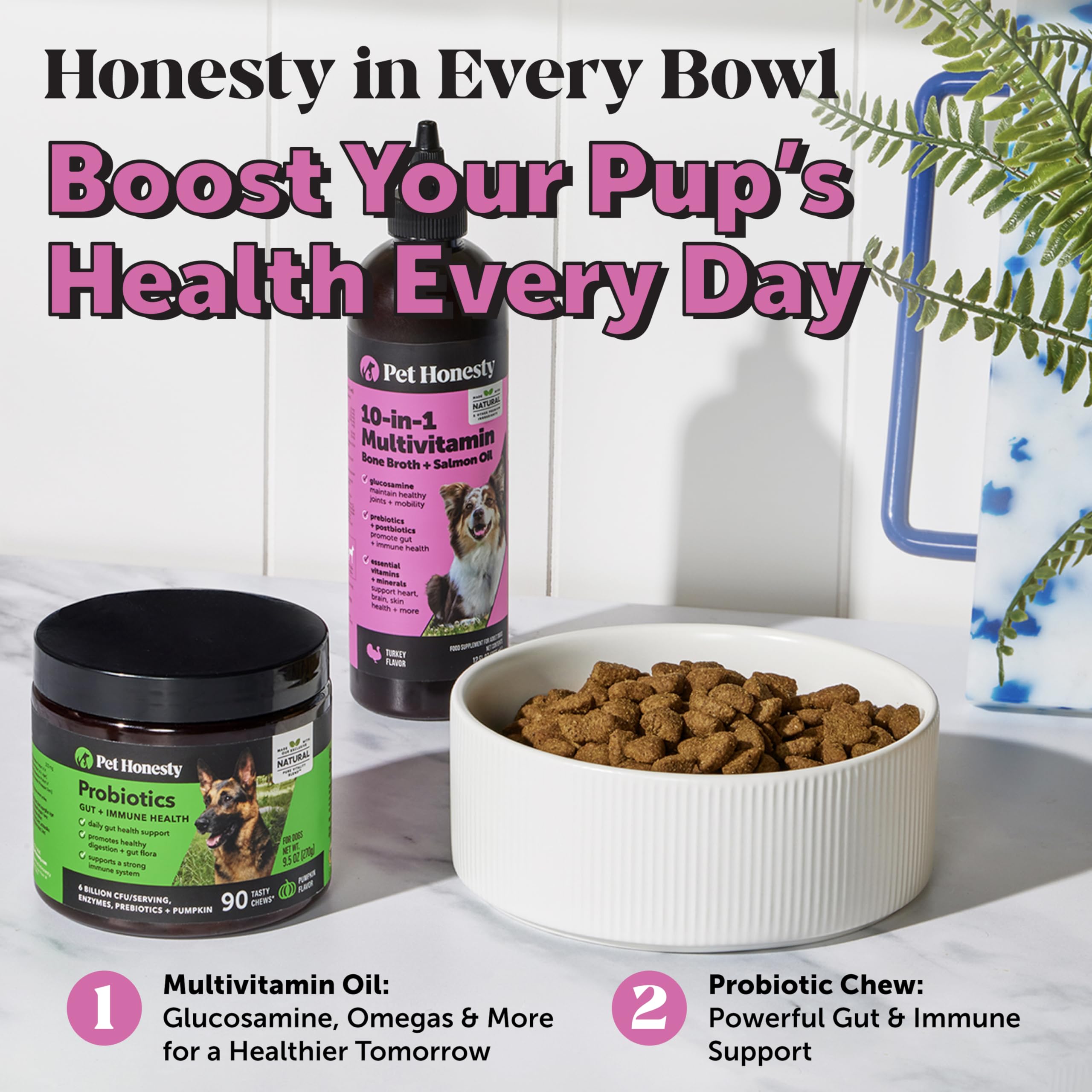 Pet Honesty bone broth with prebiotics served in a bowl demonstrates protein boost.