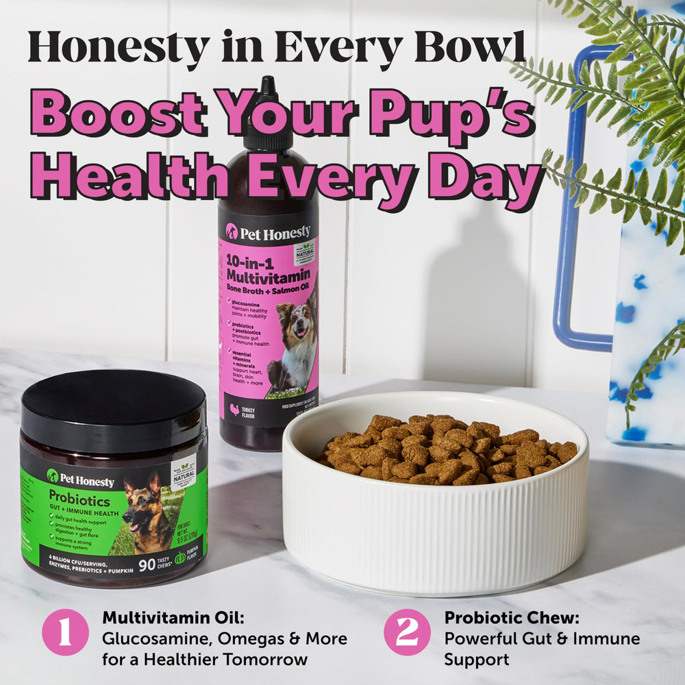 Pet Honesty bone broth with prebiotics served in a bowl demonstrates protein boost.