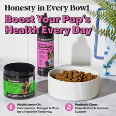Pet Honesty bone broth with prebiotics served in a bowl demonstrates protein boost.