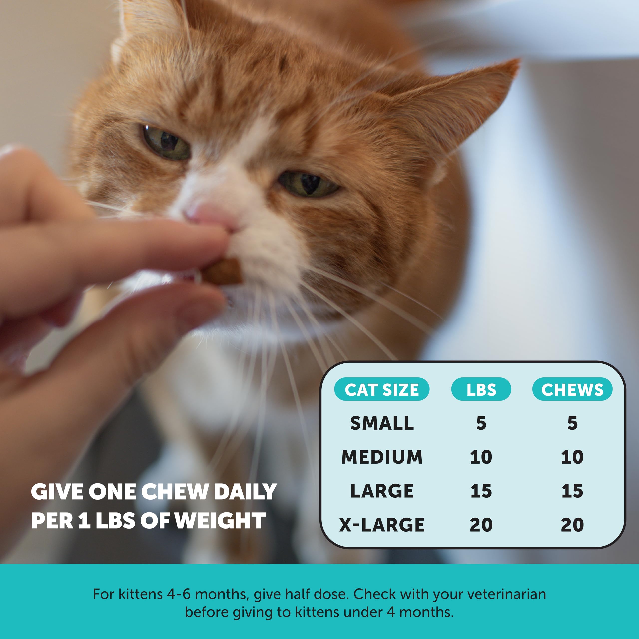 Pet Honesty Cat Calming Chews travel-ready kit beside a bag for trips.
