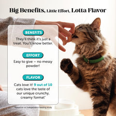 Pet Honesty Cat Calming Chews label shows thiamine and L-theanine supporting calm moments.
