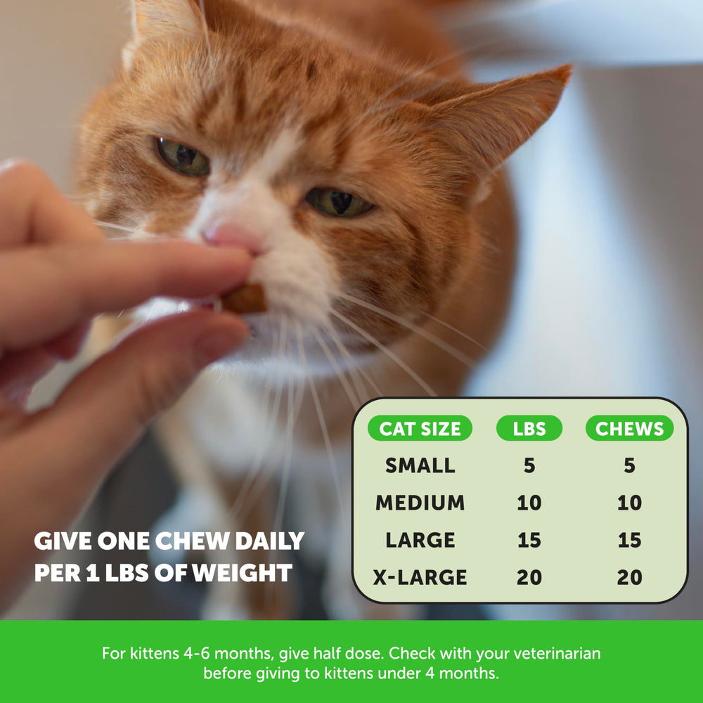 Pet Honesty daily digestion and coat support for cats.