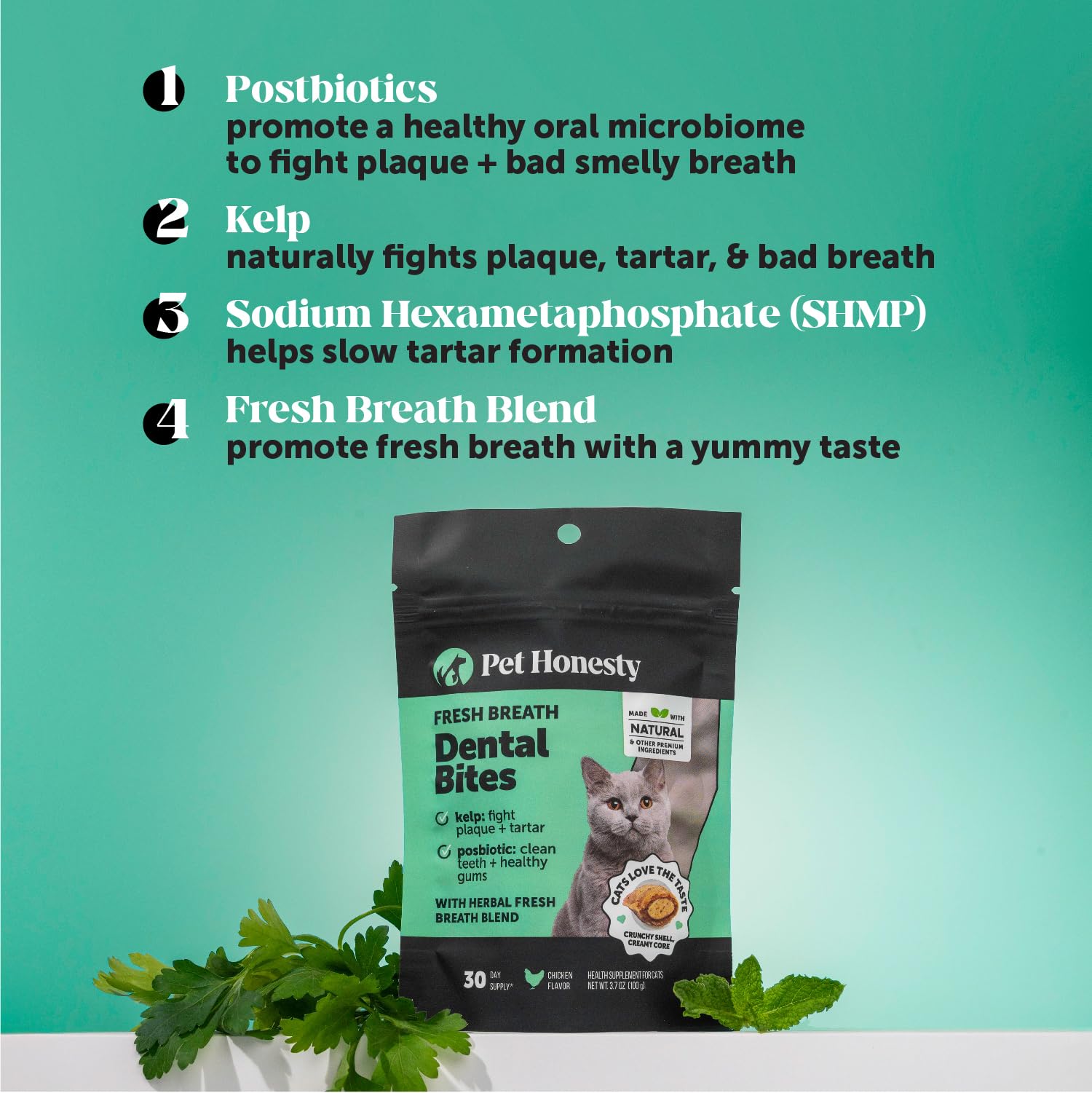 Pet Honesty cat dental bites close-up highlights crunchy exterior.
