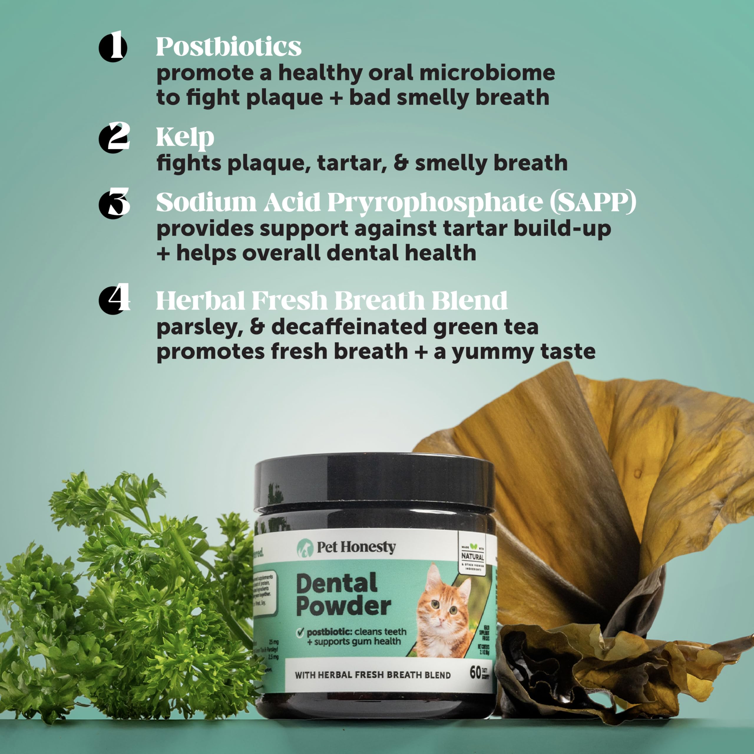 Pet Honesty powder sprinkled over cat kibble for fresh breath