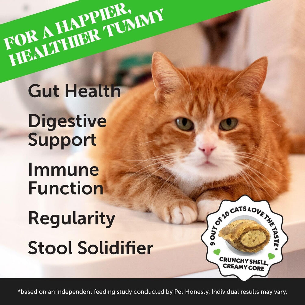 Pet Honesty cat digestive health treats for regularity and gut balance.