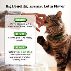 Pet Honesty cat treats with chicory prebiotics support gut flora.