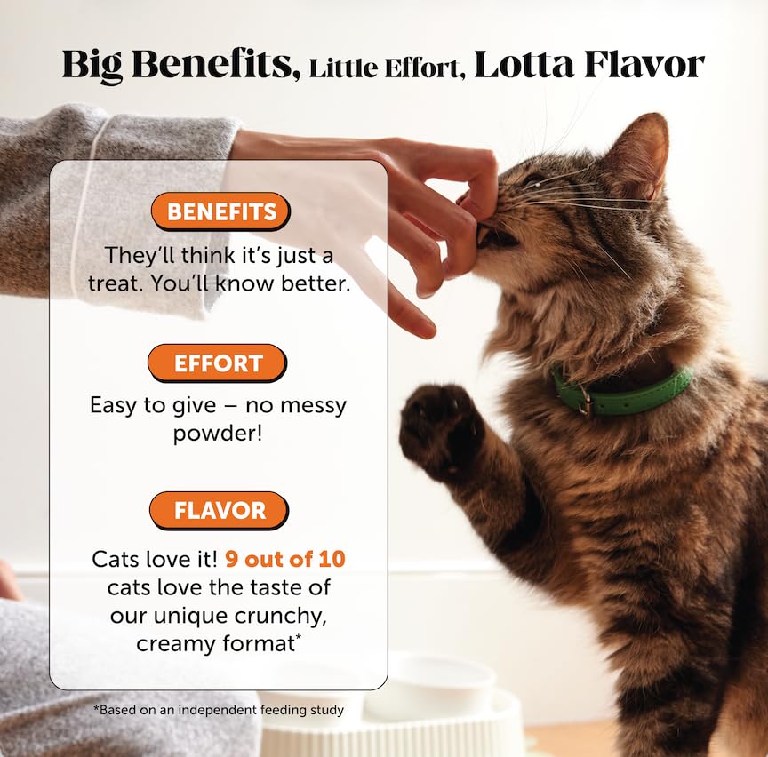 Pet Honesty cat hip joint chews flavor close-up showing tasty treat.