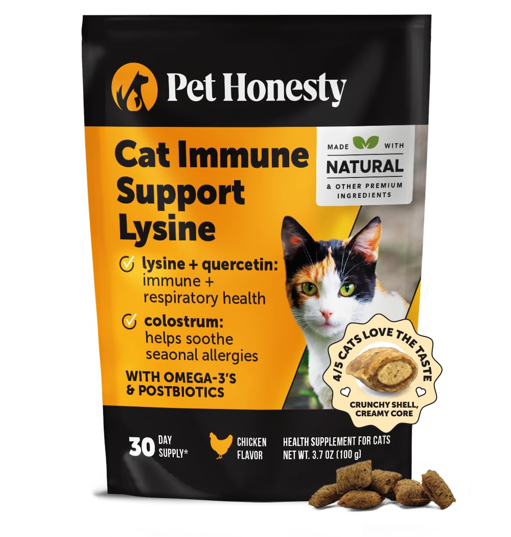 Pet Honesty Cat Immune Support Lysine bottle pour supports daily wellness.