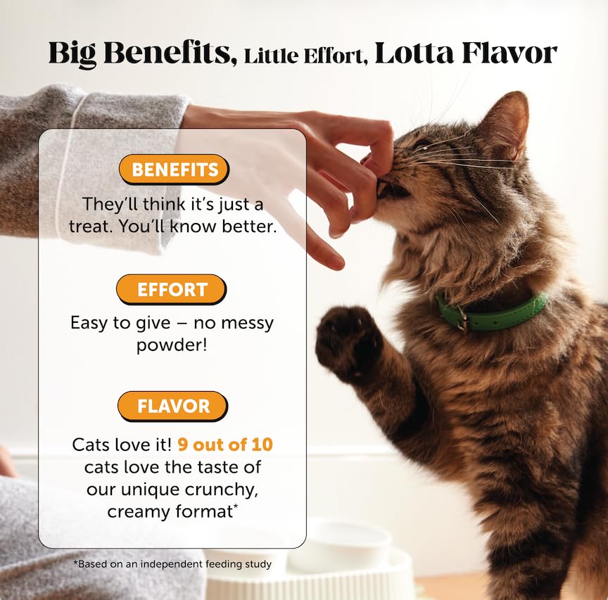 Pet Honesty Cat Immune Support Lysine crunchy chicken-flavor treats appeal to picky eaters.