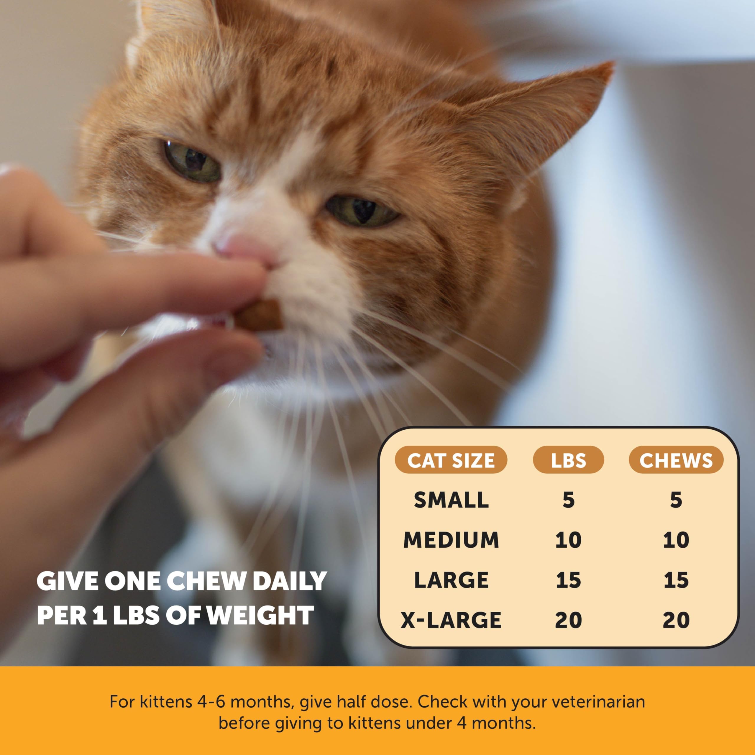 Pet Honesty Cat Immune Support Lysine daily-use treats fit into routines.