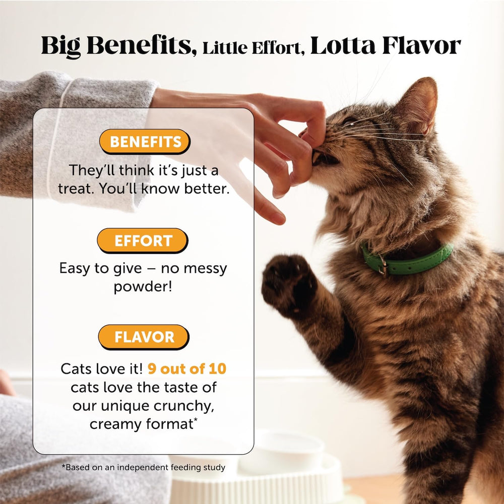 Pet Honesty Cat Immune Support Lysine ingredients include Lysine and Quercetin.
