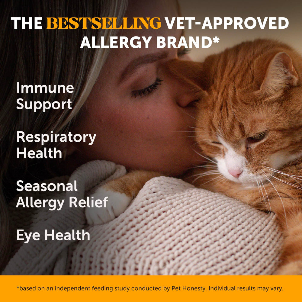 Pet Honesty Cat Immune Support Lysine treats on kibble support immune comfort.