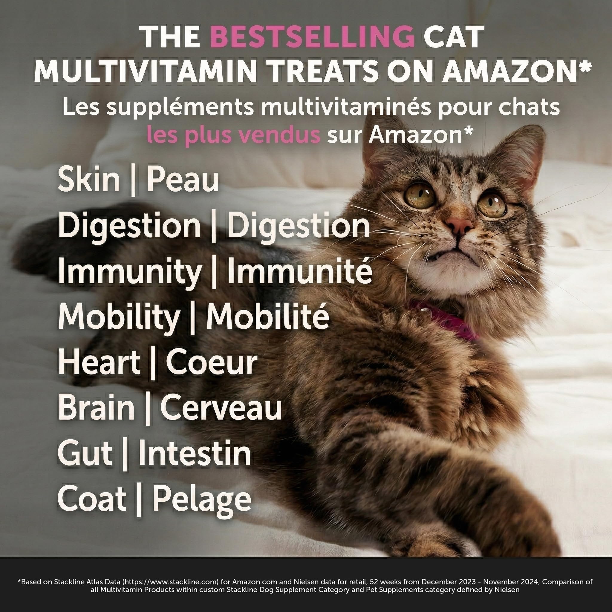 Pet Honesty Cat Multivitamin Chews bottle closeup highlighting premium ingredients