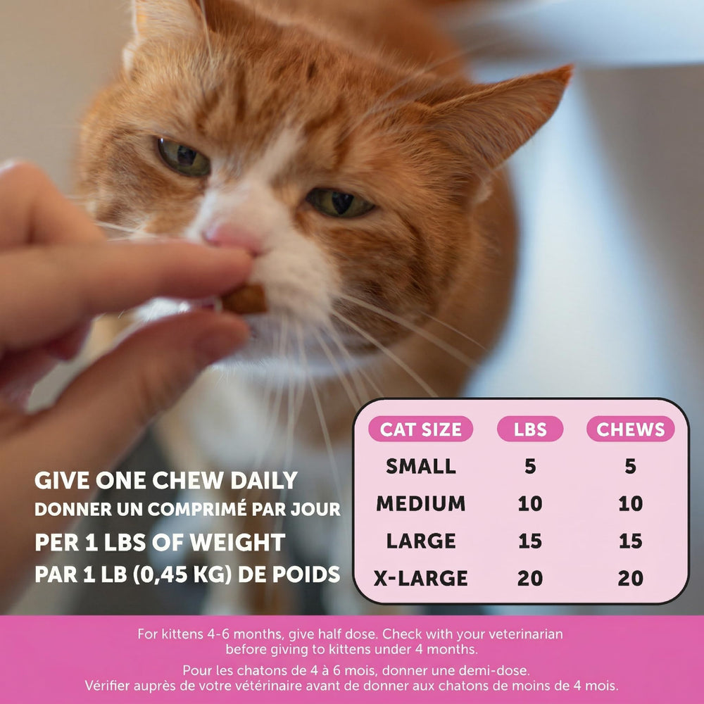 Pet Honesty Cat Multivitamin Chews chicken-flavor chew for cats