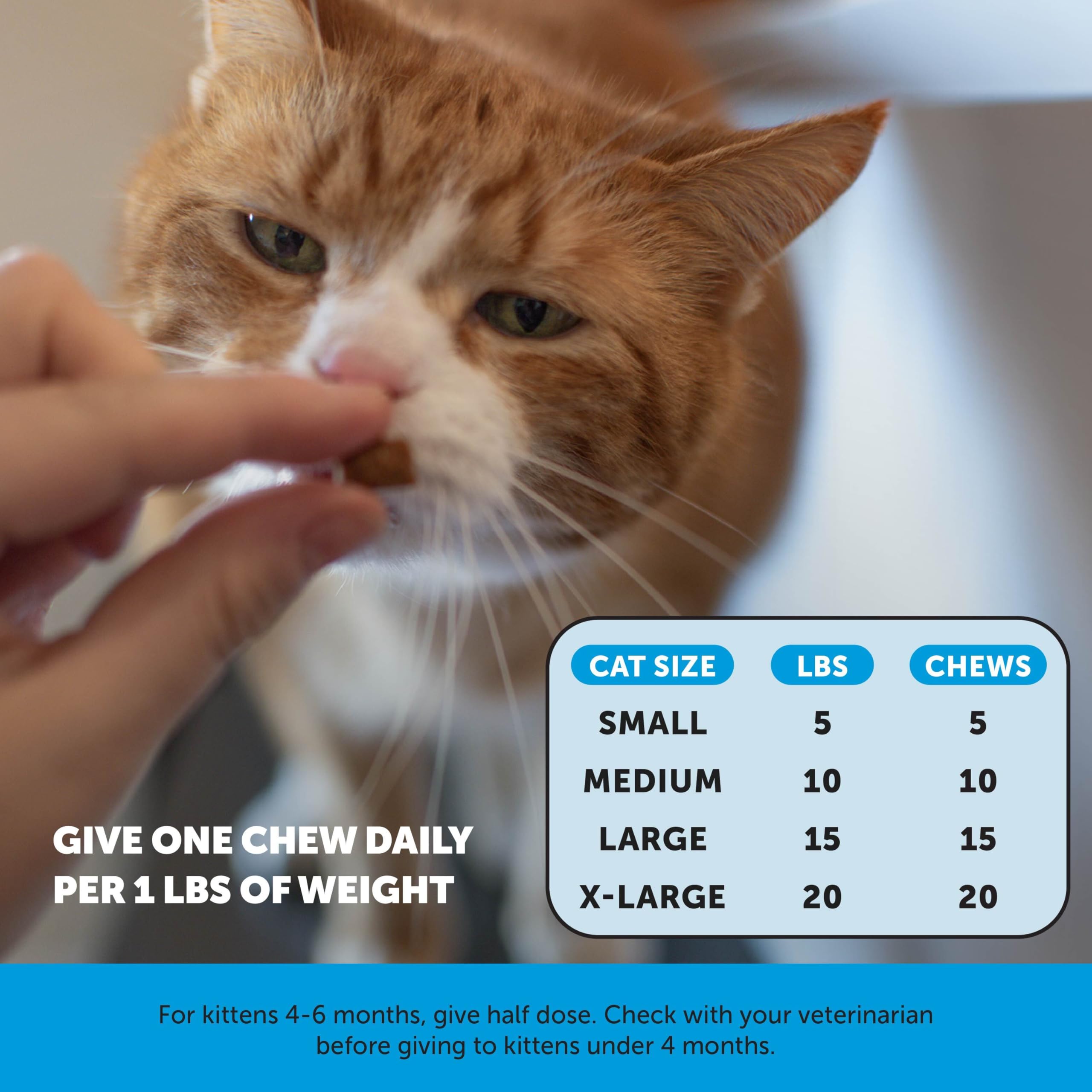 Pet Honesty Cat Skin & Coat chews fit into daily routine.