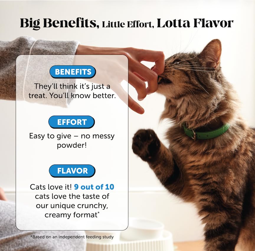 Pet Honesty Cat Skin & Coat chews with omega-3 salmon oil for skin support.