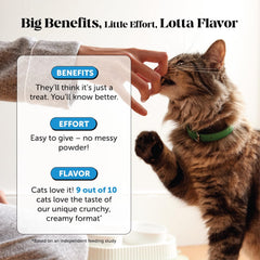 Pet Honesty omega oil chews visual, highlighting skin support for cats.