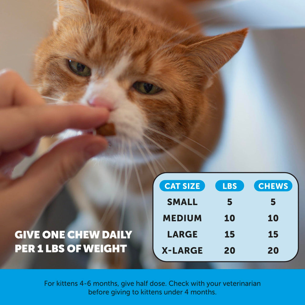 Pet Honesty chews help with seasonal dryness in cats.