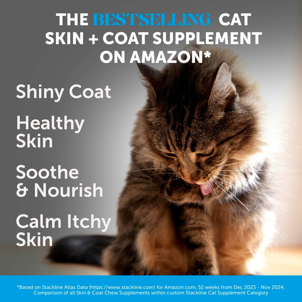 Pet Honesty Cat Skin & Coat chews served in dish for easy feeding.