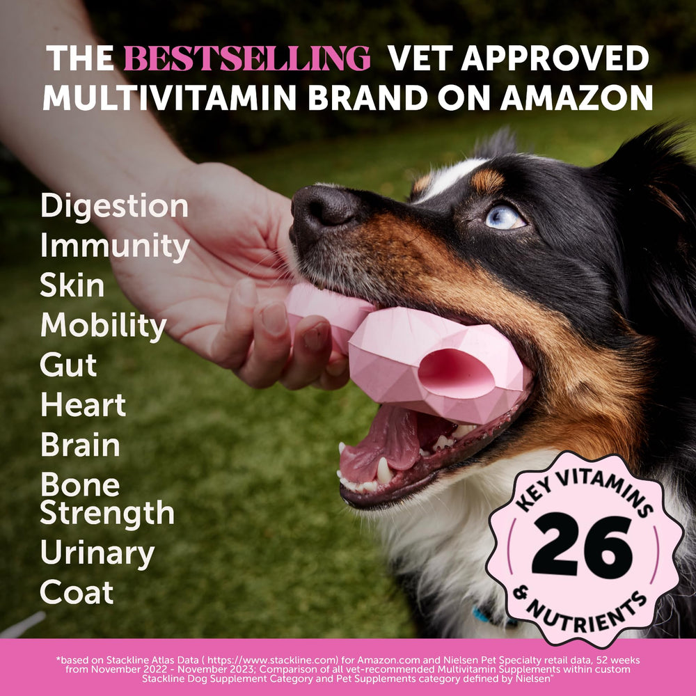 Pet Honesty chicken-flavor chews offering a tasty daily supplement