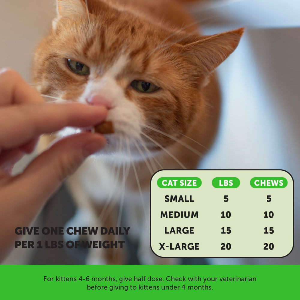 Pet Honesty crunchy creamy cat treats support digestion and enjoyment.