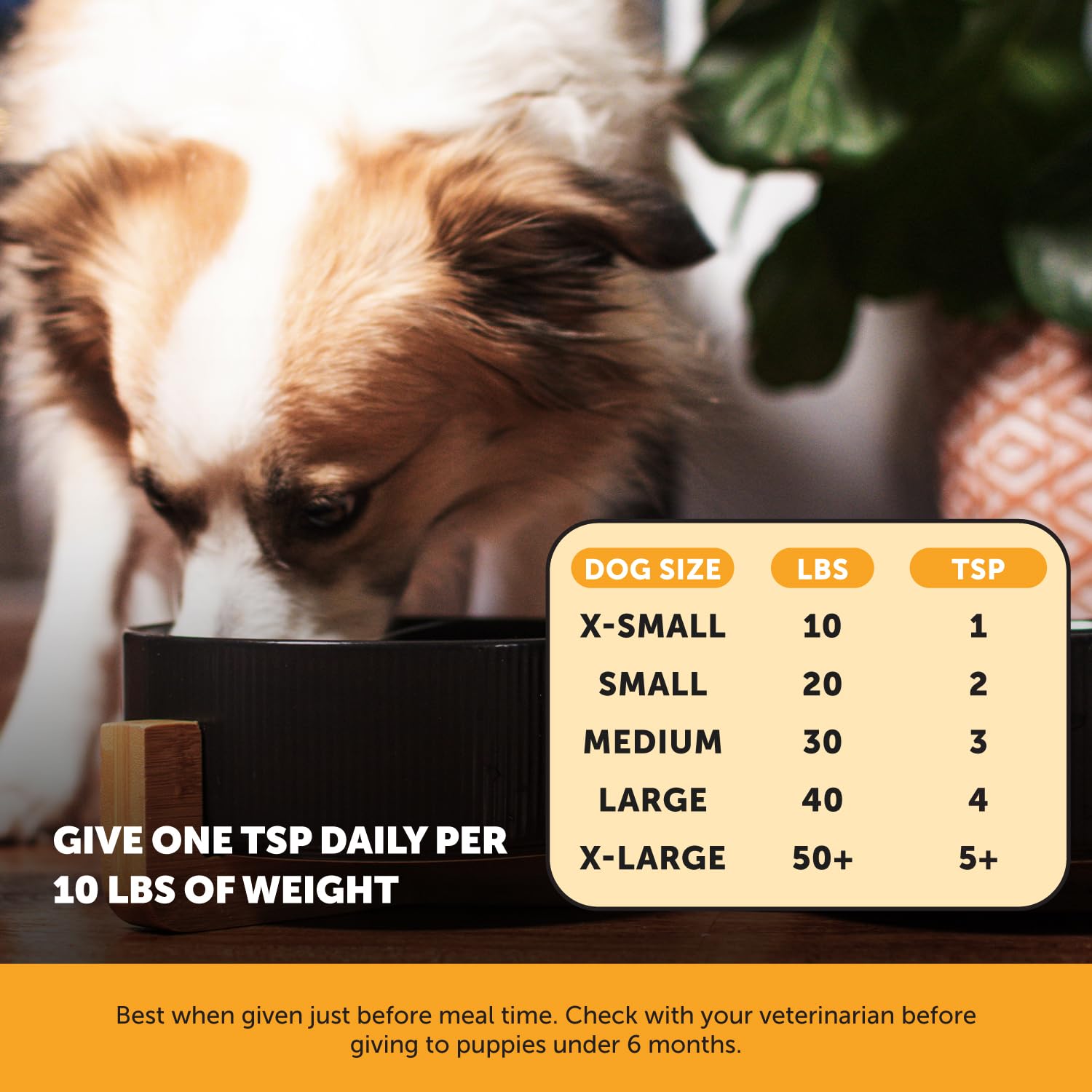 Pet Honesty product dosing spoon ready for convenient daily use