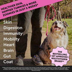 Pet Honesty Multivitamin bottle back label explains the 15-in-1 support for joints and heart.