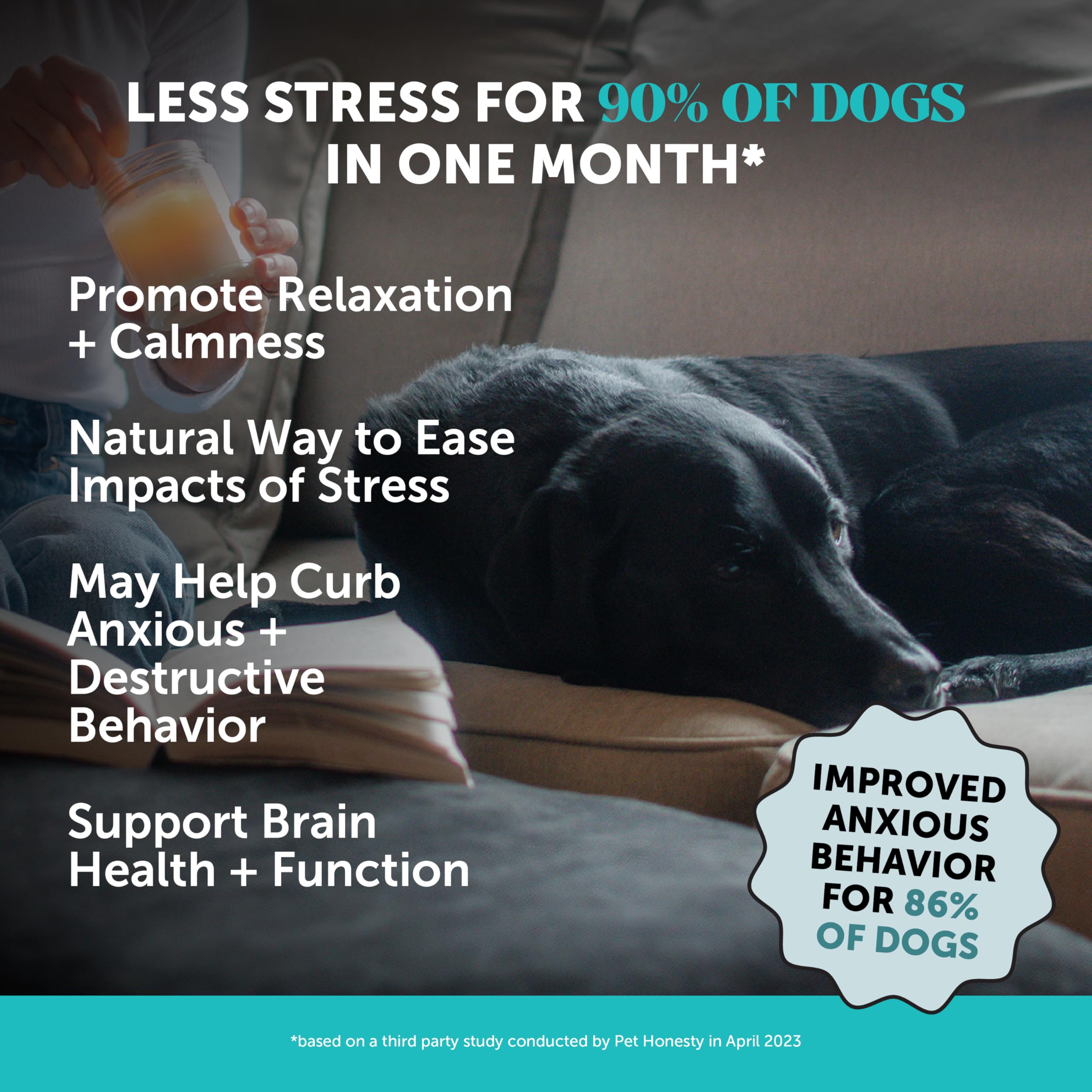 Pet Honesty duck-flavored calming chews ease anxiety during car rides