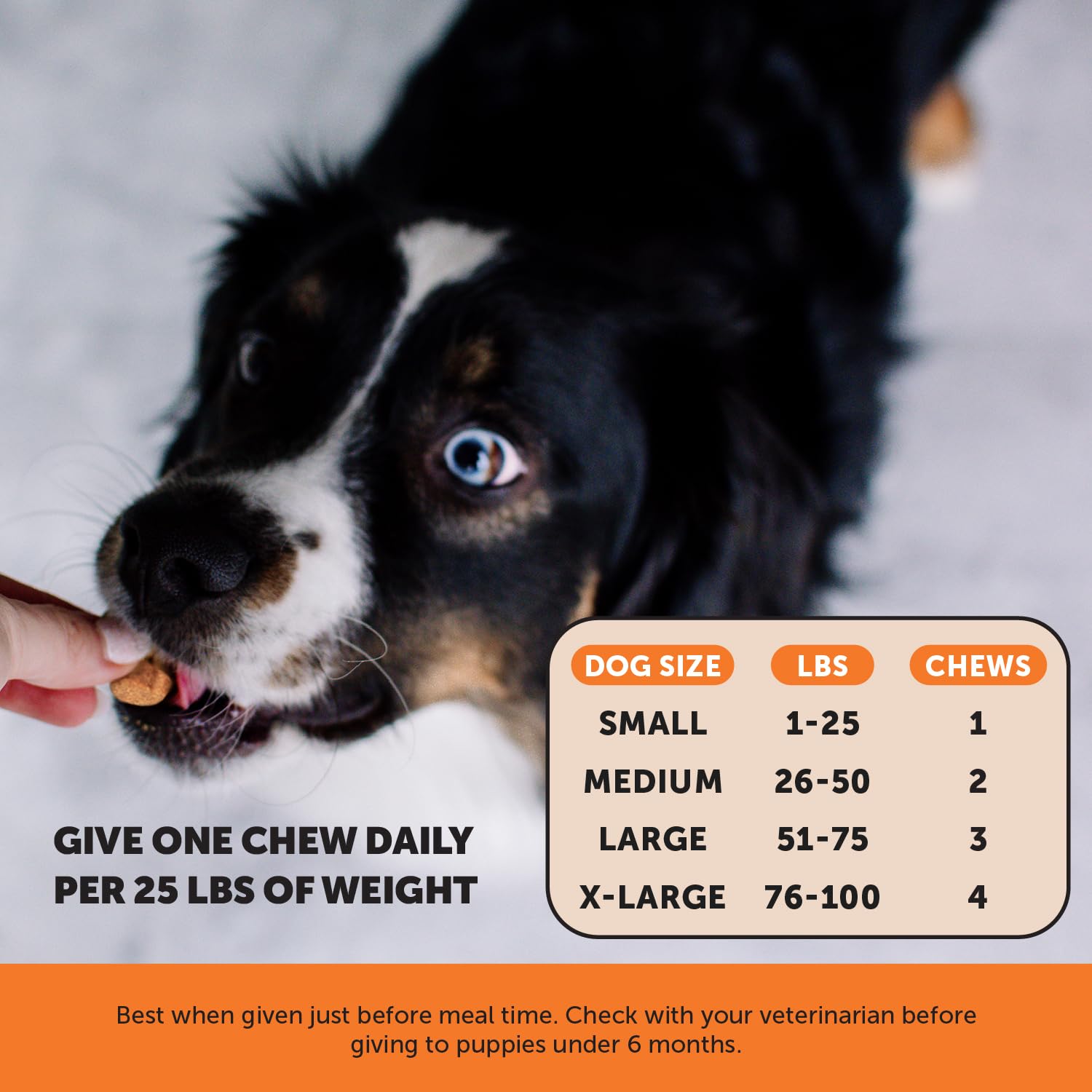 Pet Honesty flaxseed spirulina dog supplement—natural nutrition for vitality and energy.