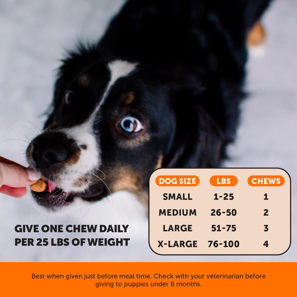 Pet Honesty flaxseed spirulina dog supplement—natural nutrition for vitality and energy.