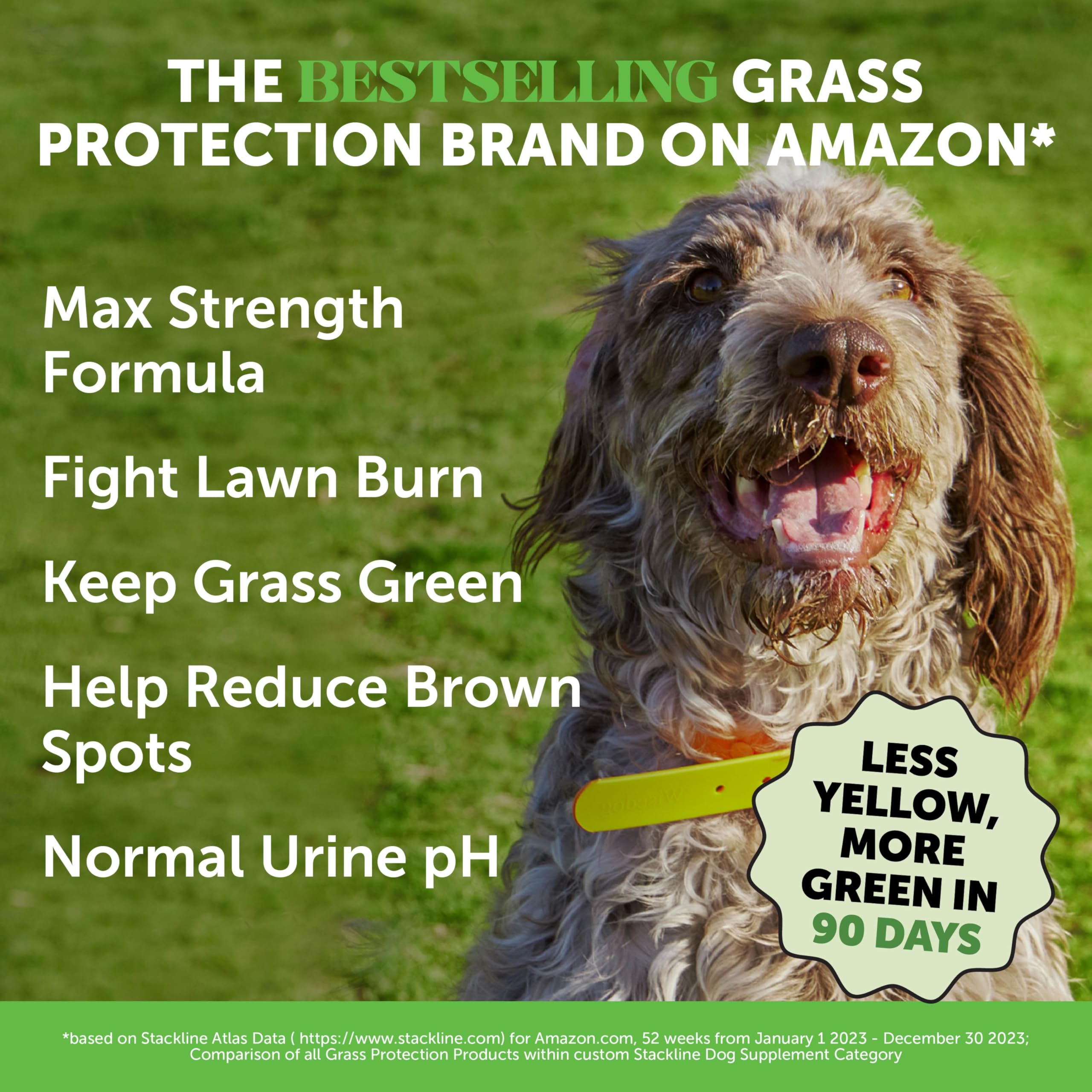 Pet Honesty Grass Green chews on plate; tasty duck flavor for daily use.