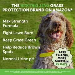 Pet Honesty Grass Green chews on plate; tasty duck flavor for daily use.