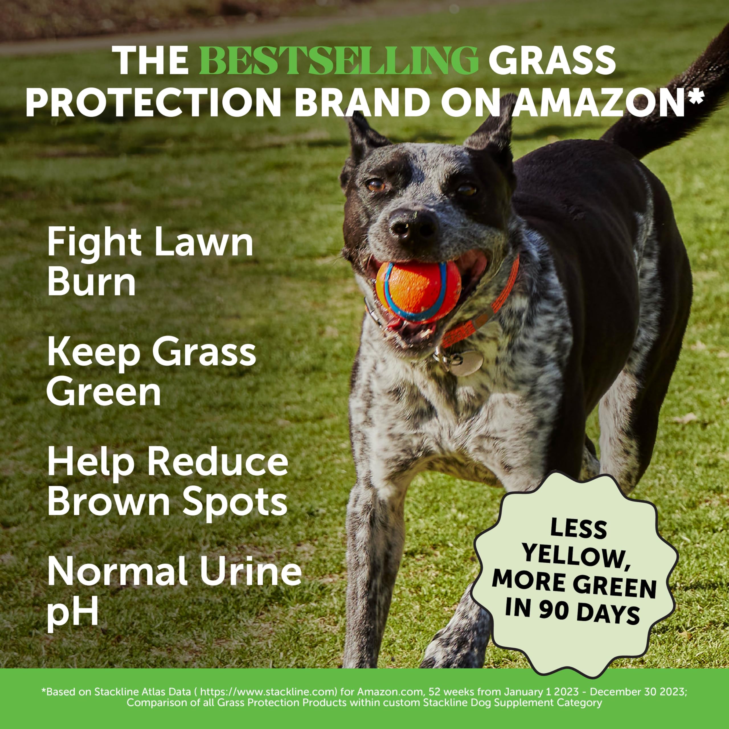 Pet Honesty Grass Green duck-flavor chews ready to support daily dog wellness