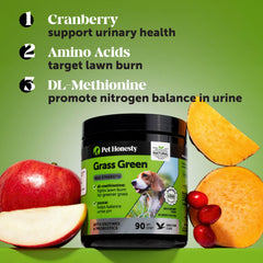 Pet Honesty Grass Green duck flavor closeup; flavorful chew encourages daily use.