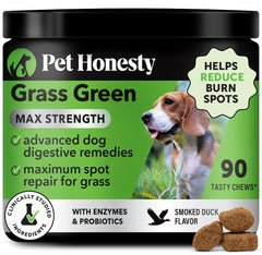 Pet Honesty Grass Green Max Strength bottle; convenient daily chew supporting urinary balance.