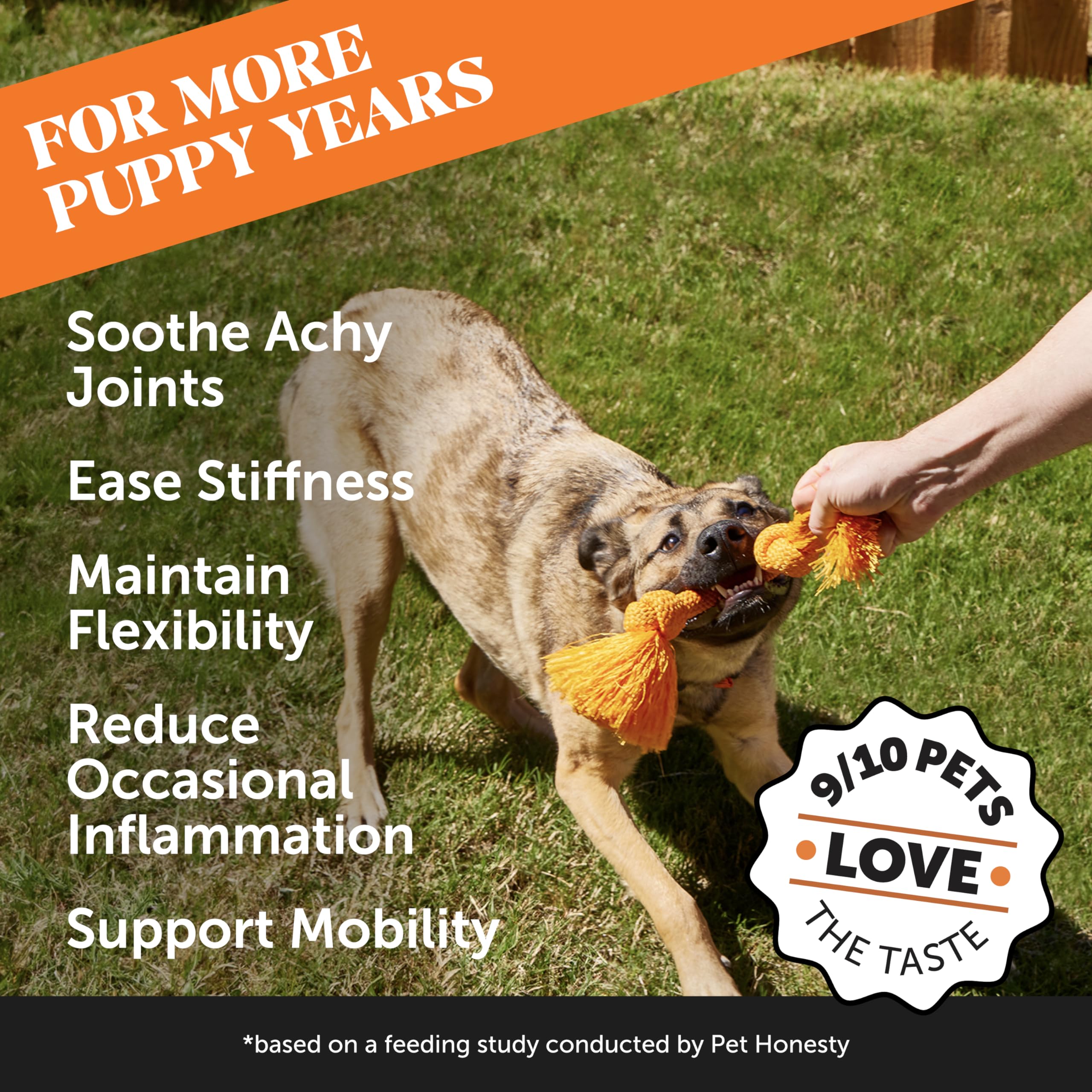 Pet Honesty hemp chews close-up highlighting tasty joint support.