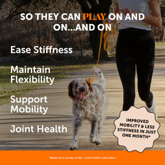 Pet Honesty Hip & Joint Soft Chews being chewed by a dog for mobility support